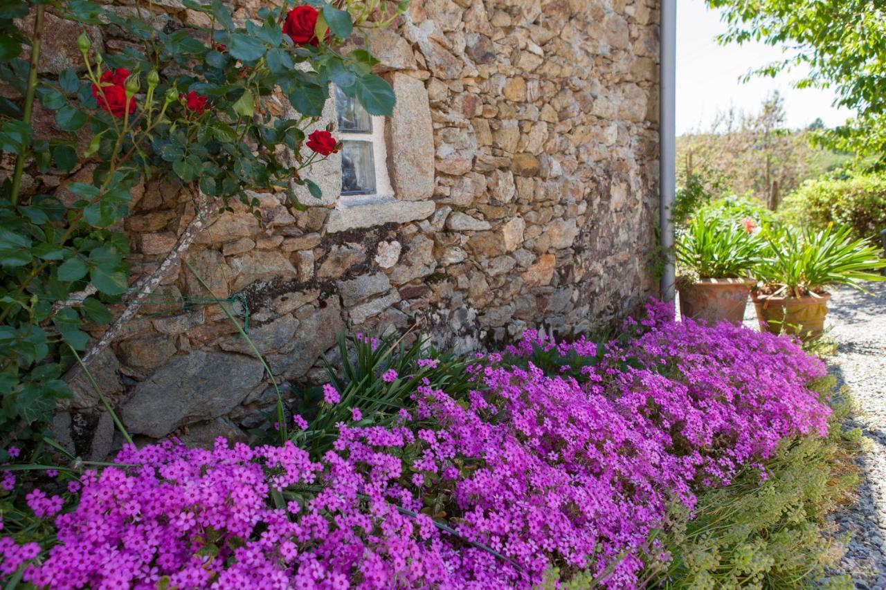 B&B Fleur De Lys Bleue Soudaine-Lavinadière 外观 照片